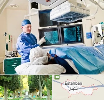 جراح قلب و عروق در استهبان