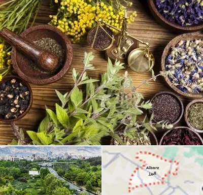 دکتر طب سنتی خانم در البرز