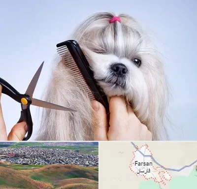 آرایشگاه حیوانات خانگی در فارسان