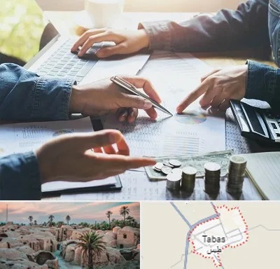 موسسه حسابداری در طبس