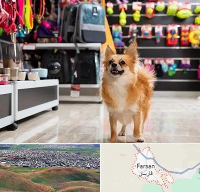 فروشگاه لوازم سگ در فارسان