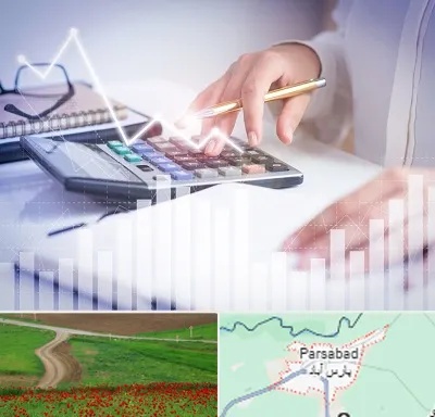 کارشناس مالیاتی در پارس آباد