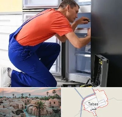 تعمیر یخچال در طبس