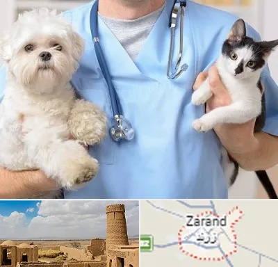 بیمارستان شبانه روزی دامپزشکی در زرند