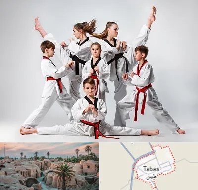 باشگاه کاراته در طبس