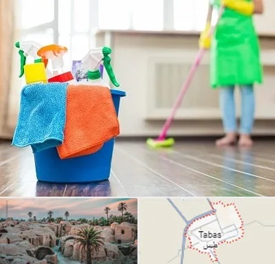 خدمات نظافت در طبس