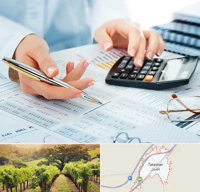 موسسه حسابرسی در تاکستان