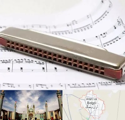 آموزشگاه ساز دهنی در آران و بیدگل