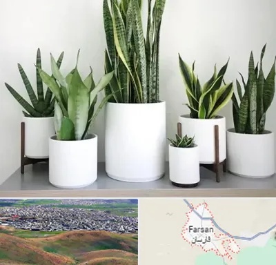 فروش گلدان در فارسان