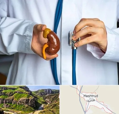 دکتر سرطان کلیه در هشترود