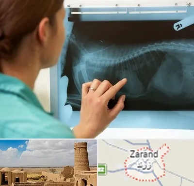 رادیولوژی پرندگان در زرند