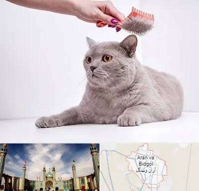 آرایشگاه گربه در آران و بیدگل