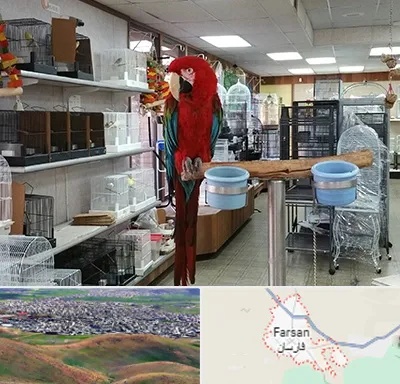 پرنده فروشی در فارسان