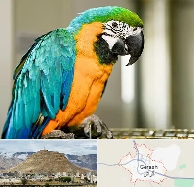 داروخانه شبانه روزی پرندگان در گراش