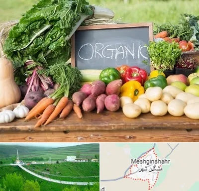 فروشگاه محصولات ارگانیک در مشگین شهر