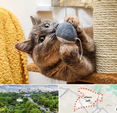 خرید اسباب بازی گربه در البرز