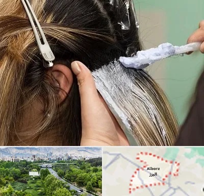 آموزشگاه رنگ و مش در البرز