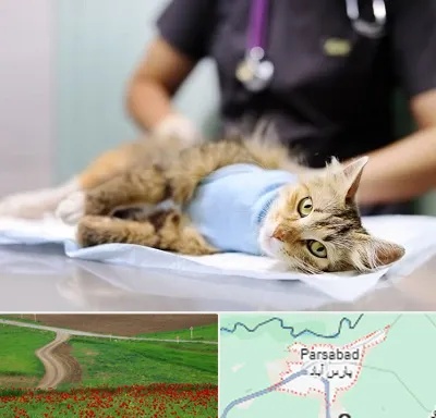 جراح حیوانات در پارس آباد