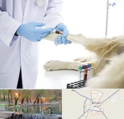 آزمایشگاه حیوانات در بروجن