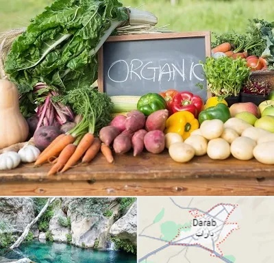 فروشگاه محصولات ارگانیک در داراب