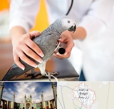 دامپزشکی پرندگان در آران و بیدگل