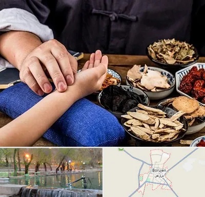 دکتر گیاهی در بروجن