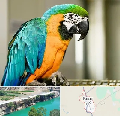 داروخانه شبانه روزی پرندگان در کوار