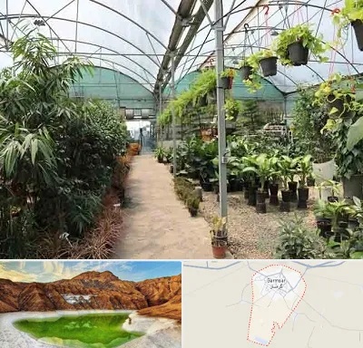 مرکز فروش گل و گیاه در گرمسار
