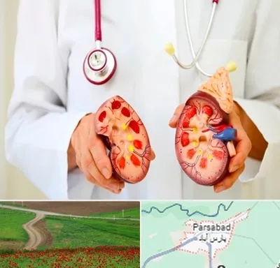 دکتر سنگ کلیه در پارس آباد