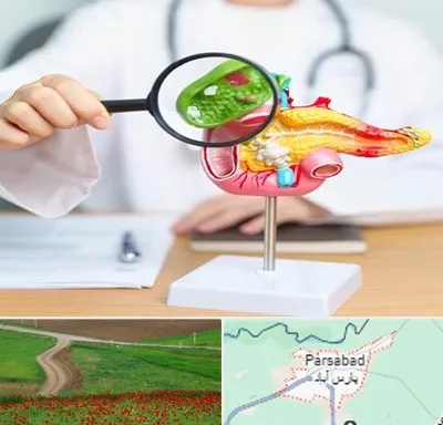 جراح سرطان پانکراس در پارس آباد