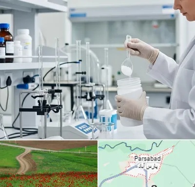 فروش زانتان گام در پارس آباد