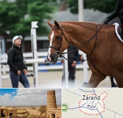 مربی سوارکاری در زرند