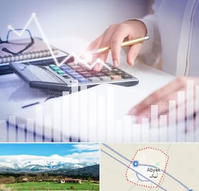 کارشناس مالیاتی در آبیک