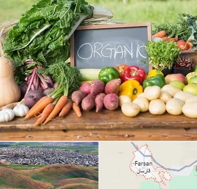 فروشگاه محصولات ارگانیک در فارسان