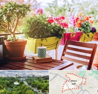 گیاه آپارتمانی در البرز