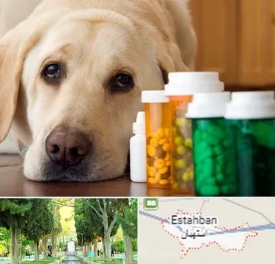 داروخانه دامپزشکی در استهبان