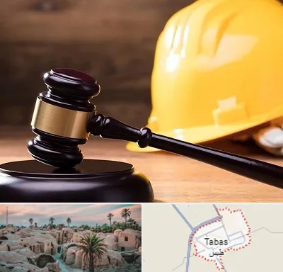 وکیل شهرداری در طبس