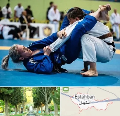 باشگاه جوجیتسو بانوان در استهبان
