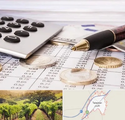 نرم افزار مودیان مالیاتی در تاکستان