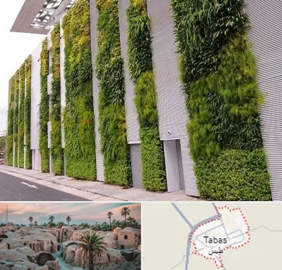 دیوار سبز در طبس