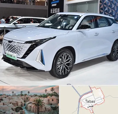 نمایشگاه ماشین چینی در طبس