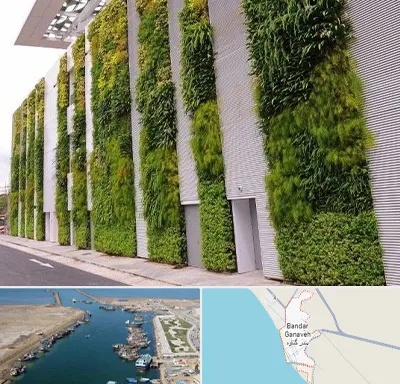 دیوار سبز در بندر گناوه