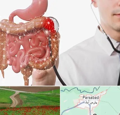 دکتر سرطان روده بزرگ در پارس آباد