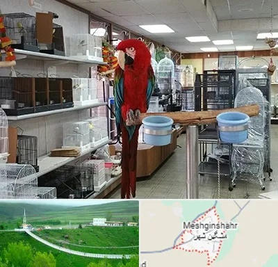 پرنده فروشی در مشگین شهر