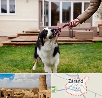 پانسیون سگ در زرند
