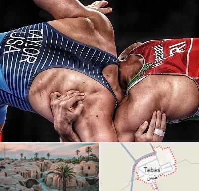 باشگاه کشتی در طبس