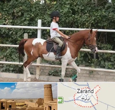 آموزش سوارکاری در زرند