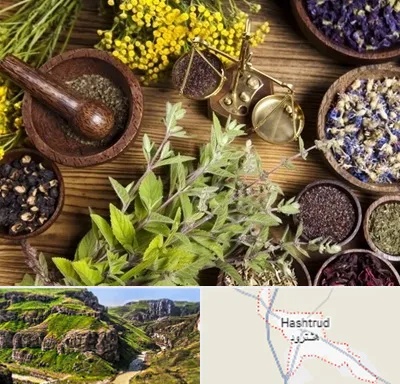 دکتر طب سنتی خانم در هشترود