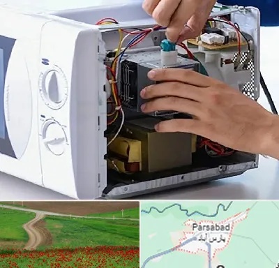 قطعات مایکروفر در پارس آباد