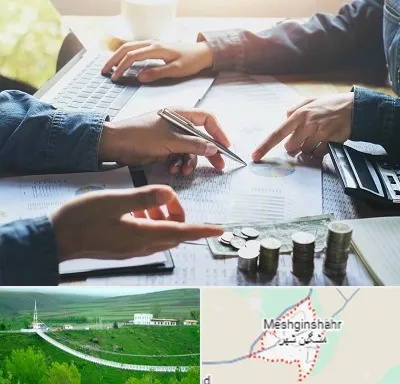 موسسه حسابداری در مشگین شهر